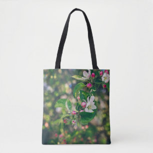 Apfelblüte