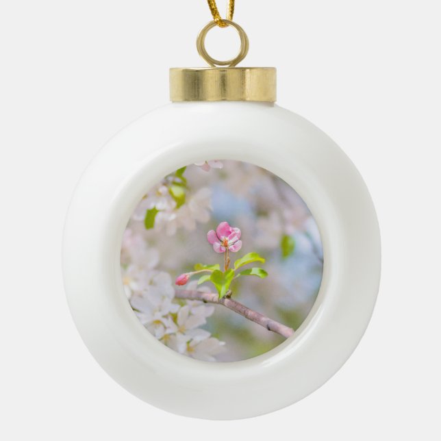 Apfelblüte - Schönheit Keramik Kugel-Ornament (Vorderseite)