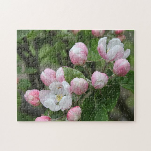 Apfelblüte und grüne Blätter Puzzle (Horizontal)