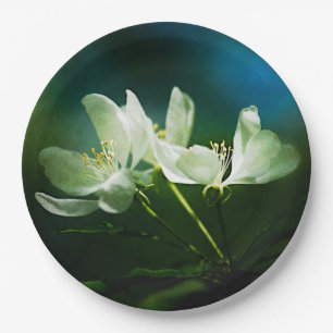 Apfelblüte - Zwei Blüten Pappteller