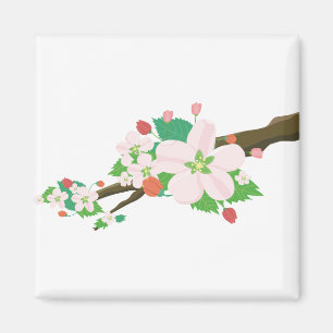 Apfelblüten Blume Natur Fruchtbaum Frühjahr Magnet