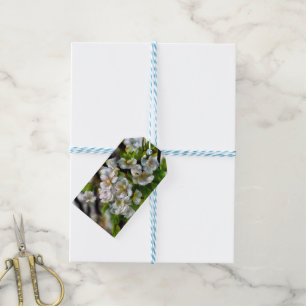 Apfelblüten Geschenkanhänger