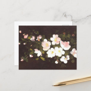 Apfelblüten Postkarte