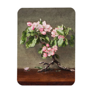 Apfelblüten von Henri Fantin–Latour Magnet