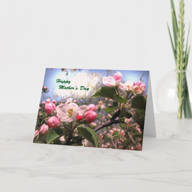 Apfelblüten zum Muttertag Karte (Vorderseite)