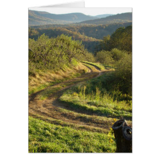 Apfelgarten, North Carolina