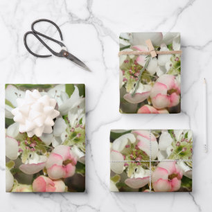 Apfelknospen Blume Geschenkpapier Set