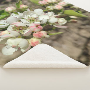 Apfelknospen Blume Sherpadecke