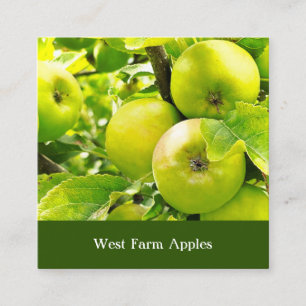Apfelplantage Mostpresse Baum Obstbauernhof Quadratische Visitenkarte