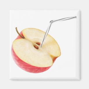 Apfelsaft Magnet