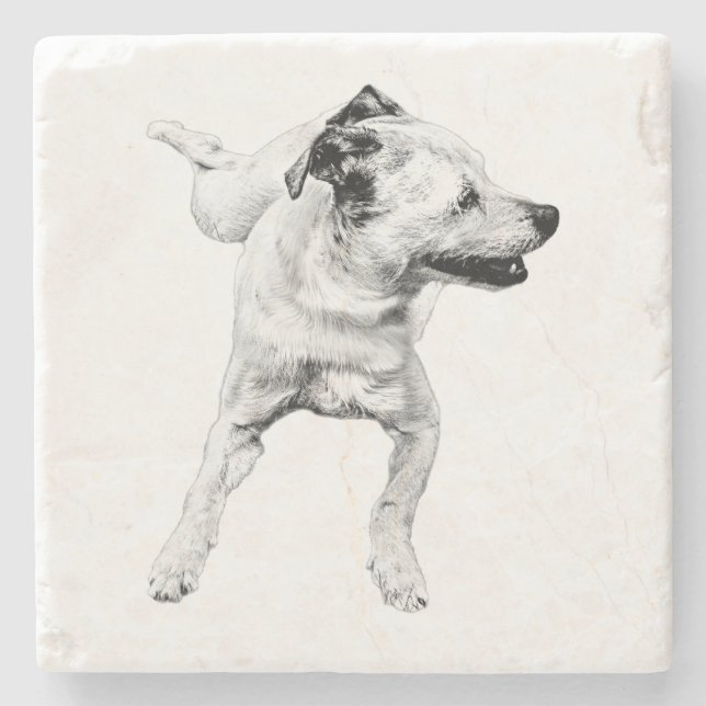 Apfeltisch, fröhliche Achse Steinuntersetzer (Vorderseite)