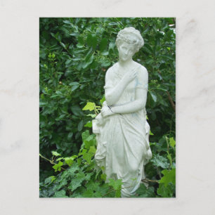 Aphrodite in Euonymus & Ivy Garden Postkarte
