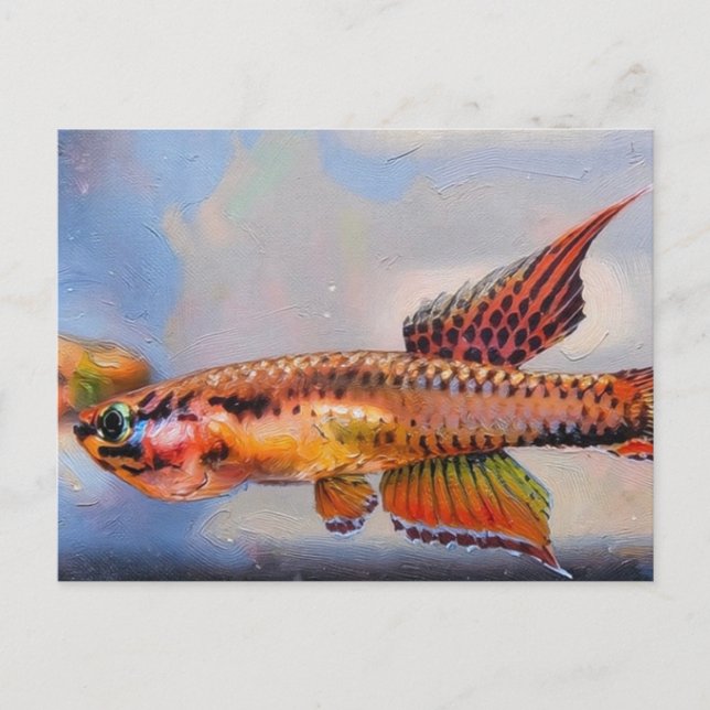 Aphyosemion bitaeniatum Ijebu Ode Killifisch Postkarte (Vorderseite)