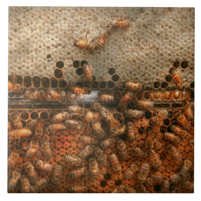 Apiary - Bienen - Erfolg süß Fliese (Vorderseite)