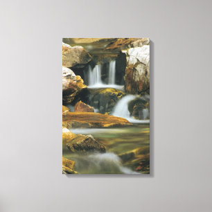 Apikuni fällt in Glacier Nationalpark, Montana Leinwanddruck