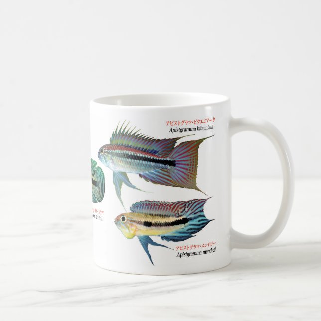 Apistgramma Tasse (Rechts)