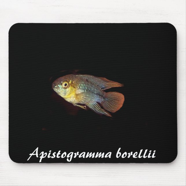 Apistogramma borellii mousepad (Vorne)