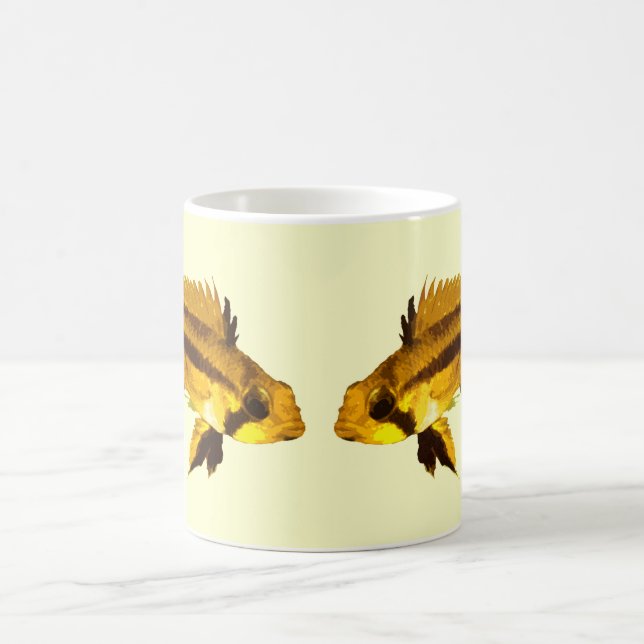 Apistogrammas Dwarf Cichlid Kaffeetasse (Mittel)