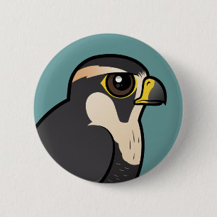 Aplomado Falke Button