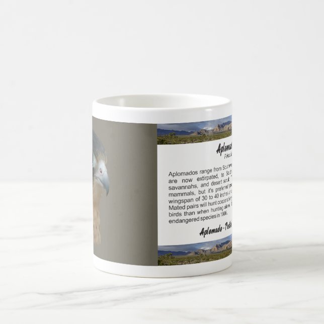 Aplomado Tasse (Mittel)