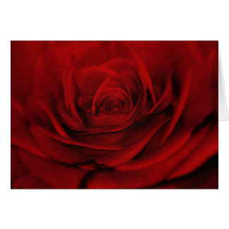 Aplotomy des Herzens