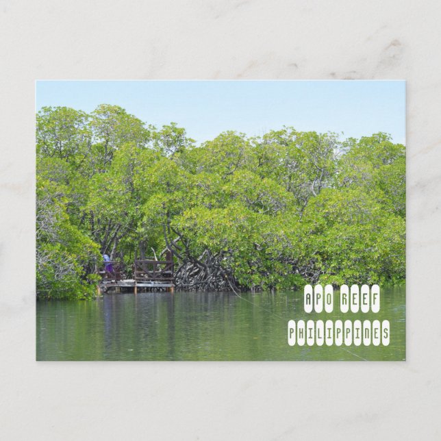 Apo Reef der Philippinen Postkarte (Vorderseite)