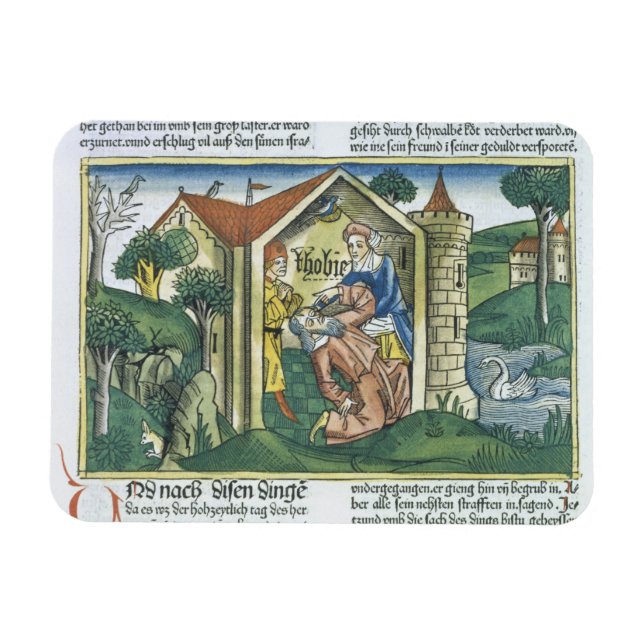 Apocrypha: Tobit is blinded by sparrow's droppings Magnet (Horizontal)