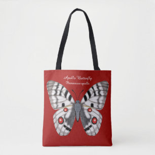 Apollo-Schmetterling dorsal und ventral
