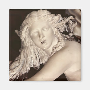 Apollo und Daphne, Sonderkommando von Daphnes Kopf Magnet