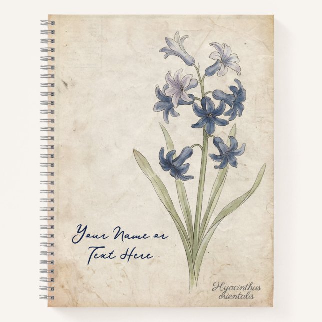 Apollos Tränen: Hyacinthus Orientalis Botanisch Notizbuch (Vorderseite)