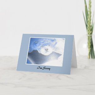 Apologie von Teddy Bar Karte