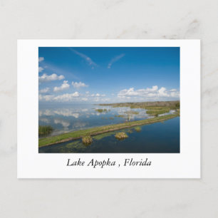 Apopka-See, Florida Postkarte