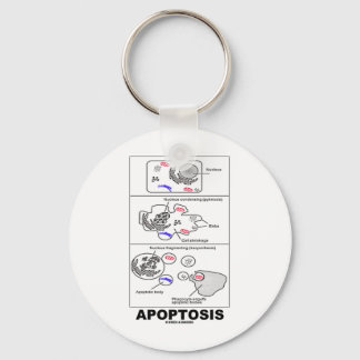 Apoptose (Biologische Zelltod) Schlüsselanhänger