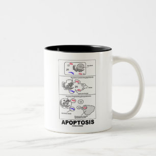 Apoptosis (Biologie-Zelltod) Zweifarbige Tasse