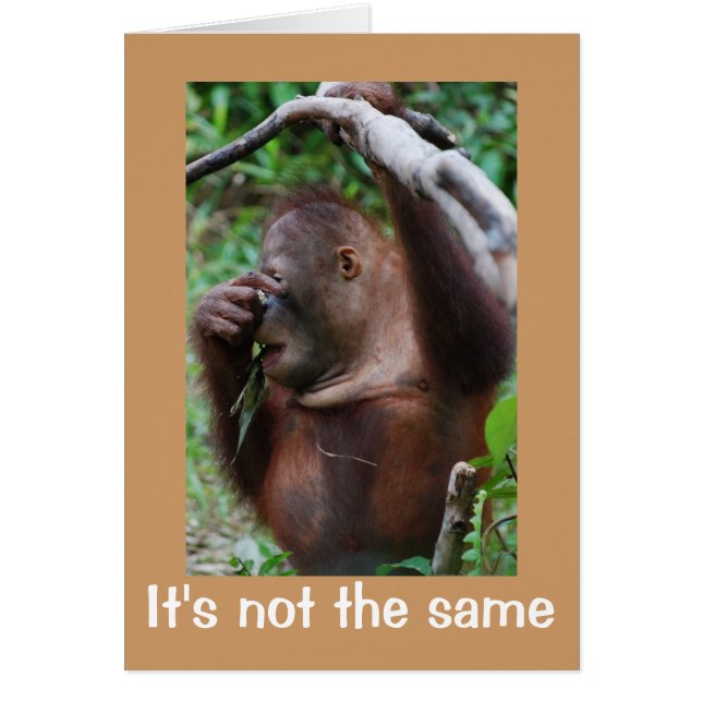 Apostrophe Atrocity (Vorne)