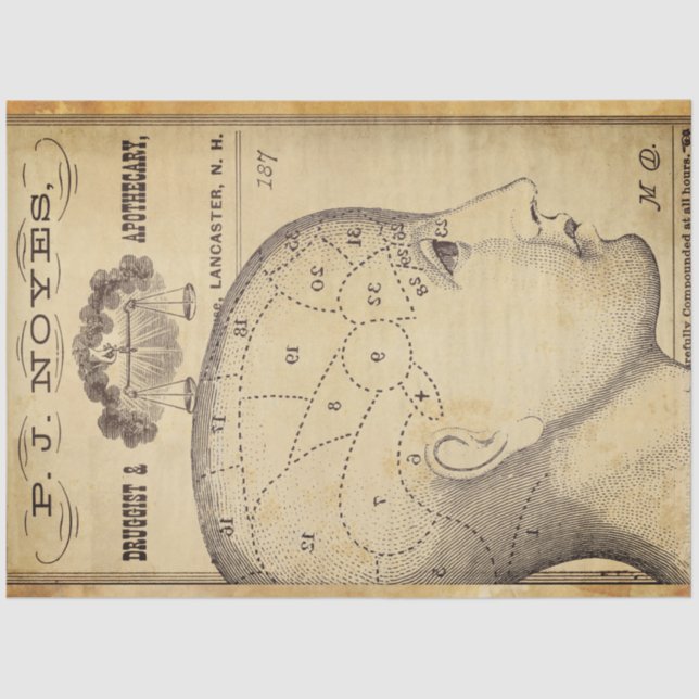 Apothekenpapier für Möbel Seidenpapier (Vorderseite)