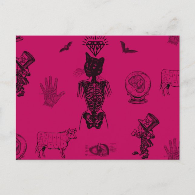 Apotheker Postkarte (Vorderseite)