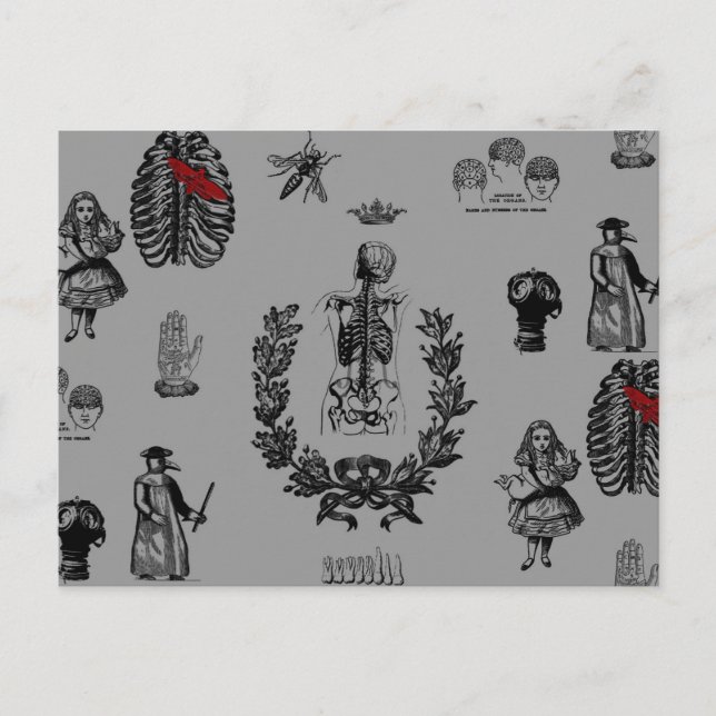 Apotheker Postkarte (Vorderseite)
