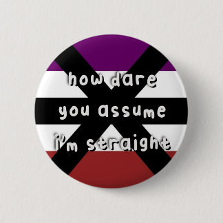 Apothisexual Pride - “How Dare You Assume” - LGBT Button