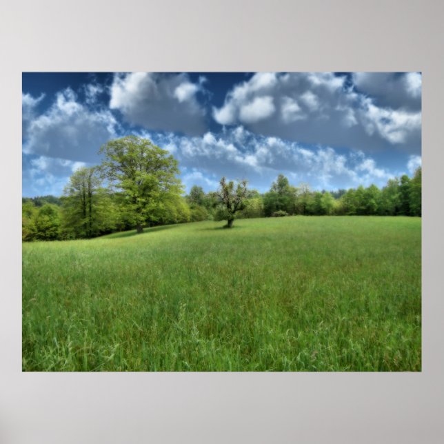 Appalachen-grüne Printwerbung Poster (Vorne)