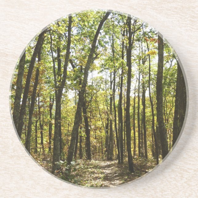 Appalachen-Pfad im Oktober in Shenandoah Getränkeuntersetzer (Vorne)