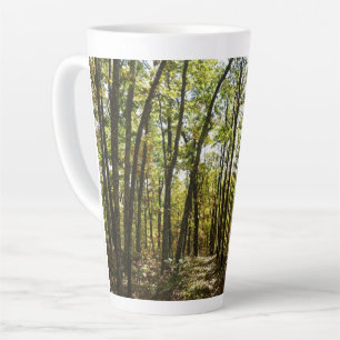 Appalachen-Pfad im Oktober in Shenandoah Milchtasse