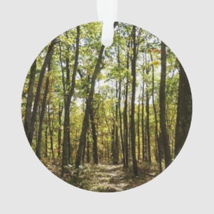 Appalachen-Pfad im Oktober in Shenandoah Ornament
