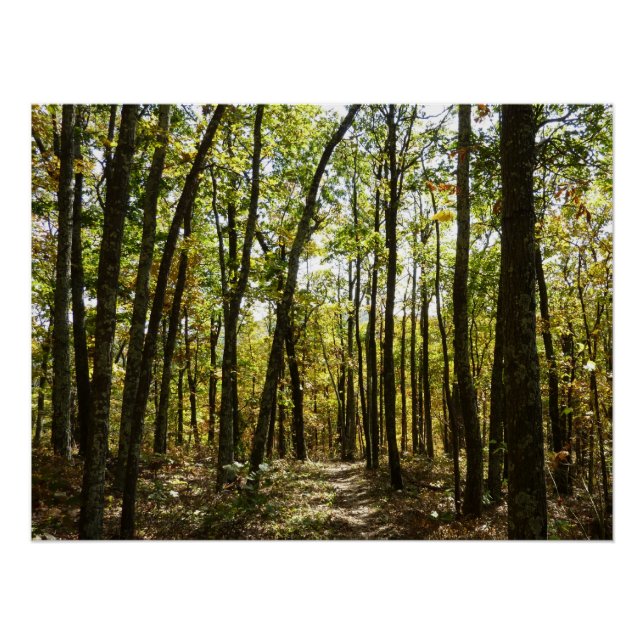 Appalachen-Pfad im Oktober in Shenandoah Poster (Vorderseite)