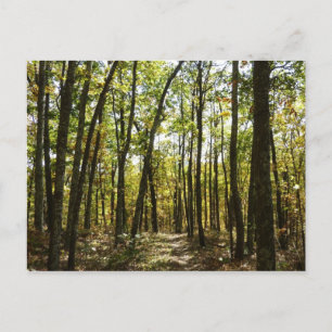 Appalachen-Pfad im Oktober in Shenandoah Postkarte