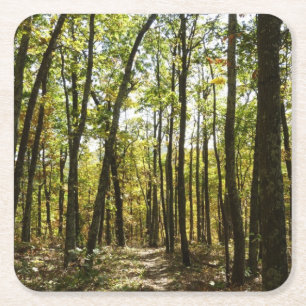 Appalachen-Pfad im Oktober in Shenandoah Rechteckiger Pappuntersetzer