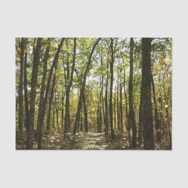 Appalachen-Pfad im Oktober in Shenandoah Seidenpapier (Vorderseite)