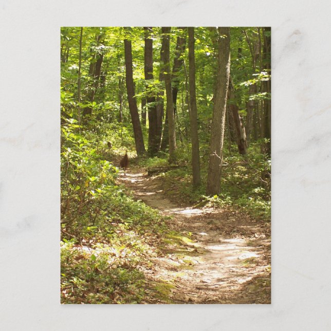 Appalachen Postkarte (Vorderseite)