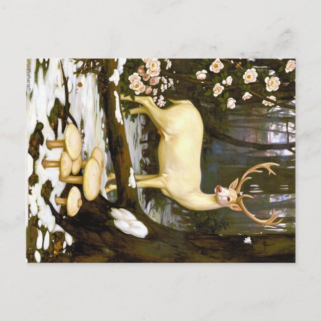 Appalachian Animals  Postkarte (Vorderseite)