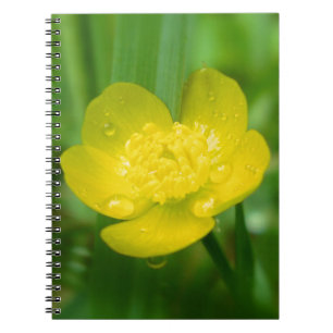 Appalachian Buttercup Notebook Notizblock